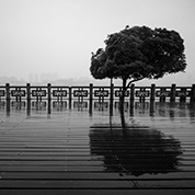 中级摄影培训班第十一课:黑白摄影 中级摄影培训班第十一课:黑白摄影