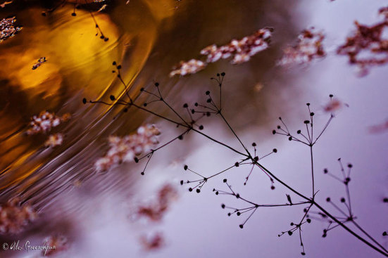 一叶知秋，国外摄影师拍摄的秋日美图22