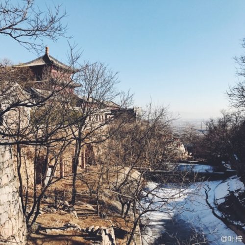 减法不是原则,试试欲说还休-摄影早自习第440日