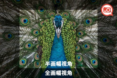 再谈画幅大小与等效焦距转换系数—摄影早自习第495期