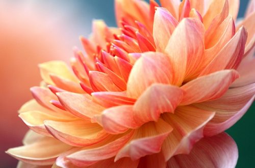 将摄影分类后,你最爱哪一种?—摄影早自习第760期