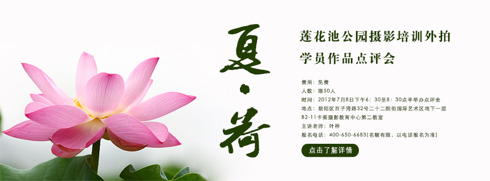 夏荷——莲花池公园摄影培训外拍学员作品点评会［咔图摄影俱乐部活动］