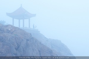 摄影作品分析：浓雾中牵手的身影